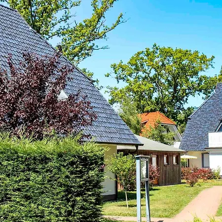 Appartement Buchentraum 14 Prerow